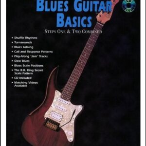 BluesGuitarBasics